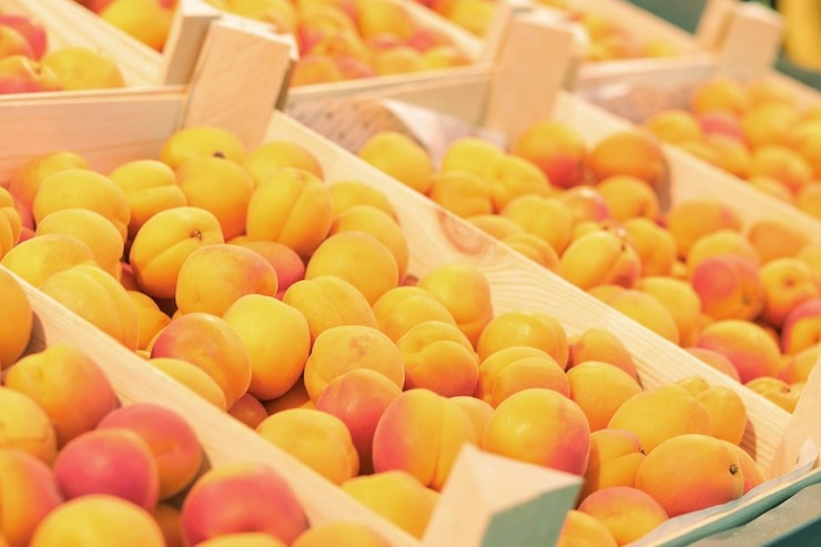 Apricot