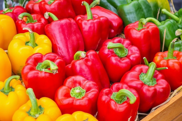 Multicolored Bell Peppers