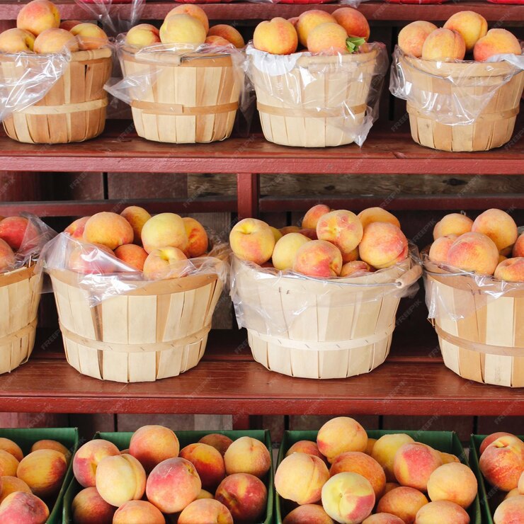 Apricot_thumbnail_1