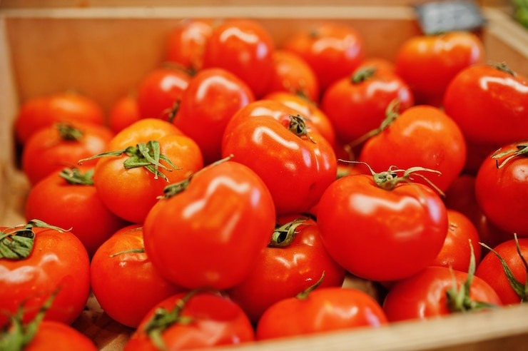 Tomato